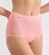 Load image into Gallery viewer, Sloggi Basic+ Maxi Brief 3 Pack - Pink/Lemon