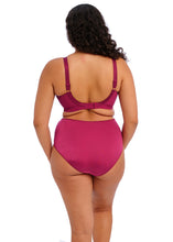 Load image into Gallery viewer, Elomi Cate Non Wired Bra - Berry