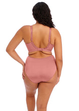 Load image into Gallery viewer, Elomi Cate Non Wired Bra - Rosewood