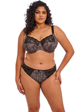 Load image into Gallery viewer, Elomi Morgan Stretch Banded Bra - EL4110 (Print)