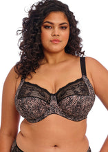 Load image into Gallery viewer, Elomi Morgan Stretch Banded Bra - EL4110 (Print)