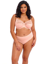 Load image into Gallery viewer, Elomi Morgan Stretch Banded Bra - EL4111 (Plain)