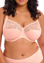 Load image into Gallery viewer, Elomi Morgan Stretch Banded Bra - EL4111 (Plain)