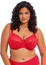 Load image into Gallery viewer, Elomi Morgan Stretch Banded Bra - EL4111 (Plain)