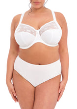 Load image into Gallery viewer, Elomi Morgan Stretch Banded Bra - EL4111 (Plain)