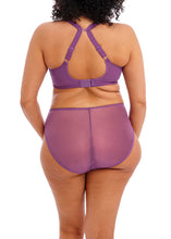 Load image into Gallery viewer, Elomi Charley Stretch Plunge Bra - Pansy