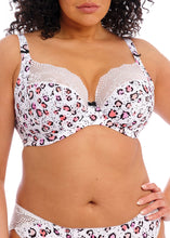 Load image into Gallery viewer, Elomi Lucie Stretch Plunge Bra - Rumble