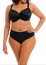 Load image into Gallery viewer, Elomi Morgan Stretch Banded Bra - EL4111 (Plain)