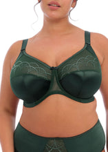 Load image into Gallery viewer, Elomi Cate Full Cup Wired Bra - EL4030