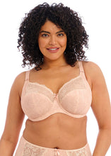 Load image into Gallery viewer, Elomi Morgan Stretch Banded Bra - EL4110 (Print)