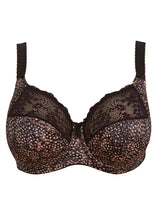 Load image into Gallery viewer, Elomi Morgan Stretch Banded Bra - EL4110 (Print)