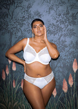 Load image into Gallery viewer, Elomi Morgan Stretch Banded Bra - EL4110 (Print)
