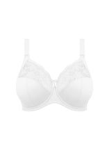 Load image into Gallery viewer, Elomi Morgan Stretch Banded Bra - EL4111 (Plain)