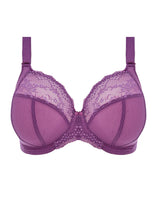 Load image into Gallery viewer, Elomi Charley Stretch Plunge Bra - Pansy