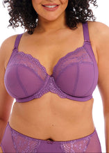 Load image into Gallery viewer, Elomi Charley Stretch Plunge Bra - Pansy