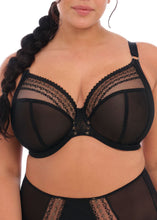 Load image into Gallery viewer, Elomi Matilda Plunge Bra - EL8900