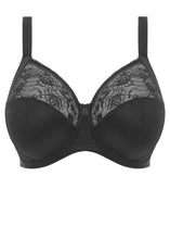 Load image into Gallery viewer, Elomi Morgan Stretch Banded Bra - EL4111 (Plain)