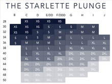 Load image into Gallery viewer, Evelyn & Bobbie Starlette Plunge Bra