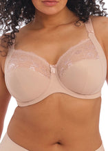 Load image into Gallery viewer, Elomi Morgan Stretch Banded Bra - EL4111 (Plain)