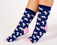 Load image into Gallery viewer, Slenderella Scottie Dog And Heart Leisure Socks - LS175 - 2 Pair Pack
