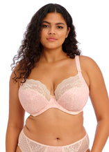 Load image into Gallery viewer, Elomi Lucie Stretch Plunge Bra - Pale Blush
