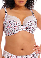Load image into Gallery viewer, Elomi Lucie Stretch Plunge Bra - Rumble
