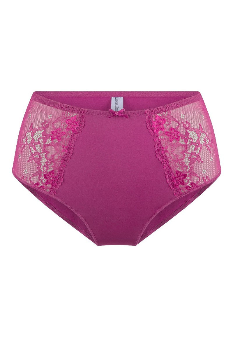 LingaDore Daily Collection High Waist Brief - Raspberry