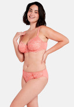 Load image into Gallery viewer, Sans Complexe Arum Briefs - Rose Blush
