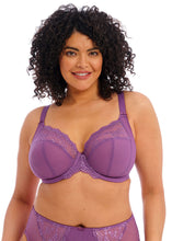 Load image into Gallery viewer, Elomi Charley Stretch Plunge Bra - Pansy

