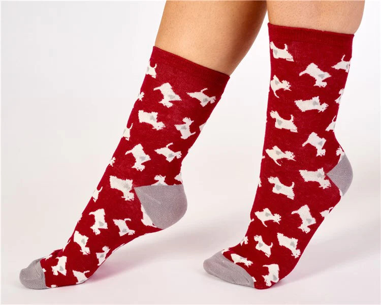 Slenderella Scottie Dog And Heart Leisure Socks - LS175 - 2 Pair Pack
