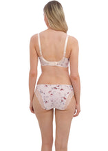 Load image into Gallery viewer, Fantasie Lucia Brief - Blush
